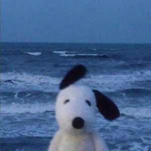 Meet your Posher, Nathan